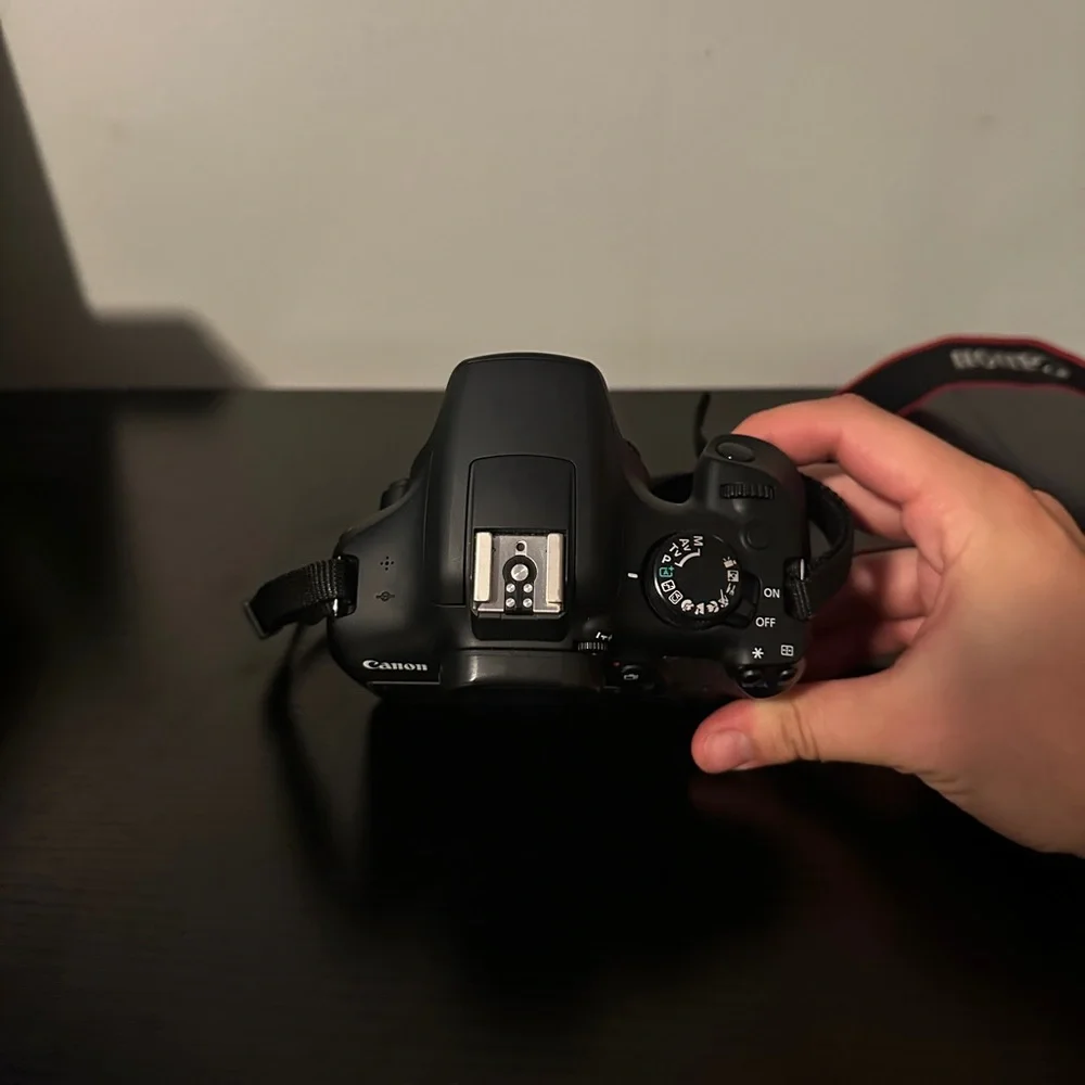 Canon EOS Rebel T6 w/ lenses (Great Condition)